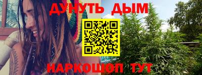 сатива Будённовск