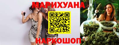 сатива Будённовск
