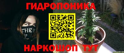 сатива Будённовск